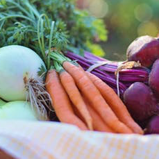 image of carrots and beets in a basket outside